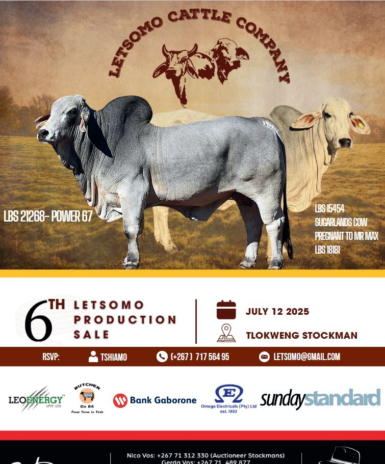 Advert image