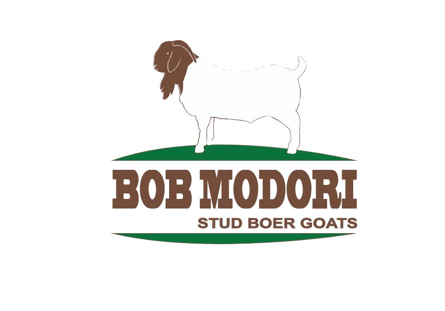 Bob Modori Stud Boer Goat Farm