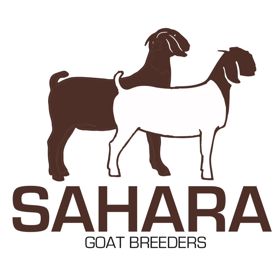 Sahara Goat Breeders 