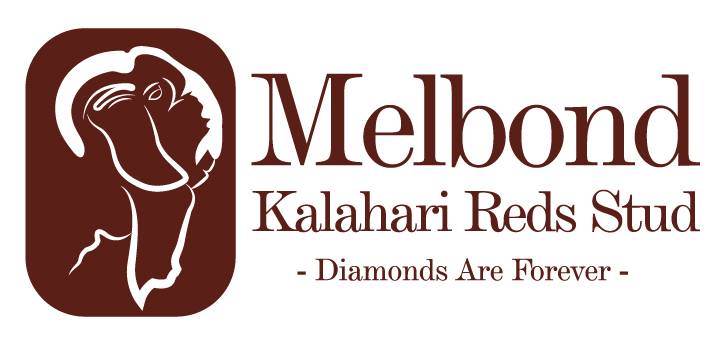 Melbond Kalahari Red