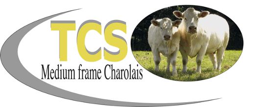 Thebe Charolais Stud