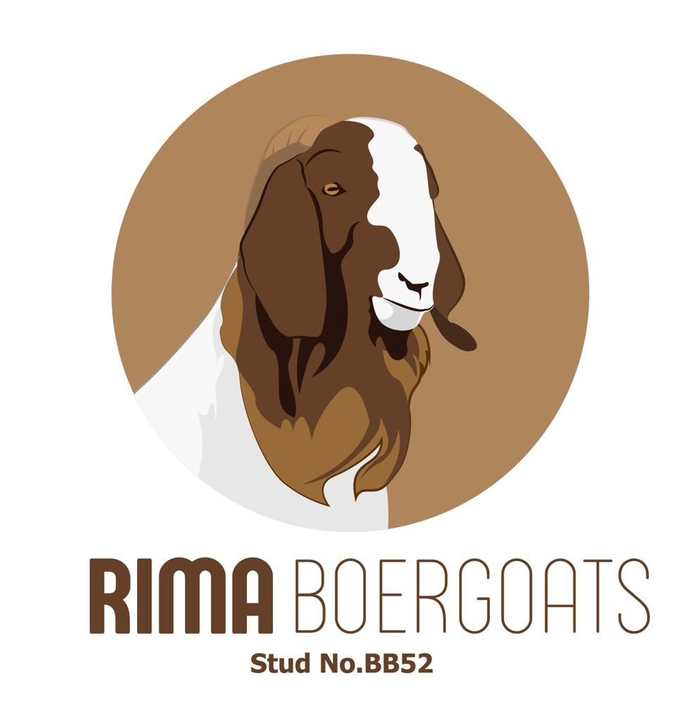 RIMA Boergoats