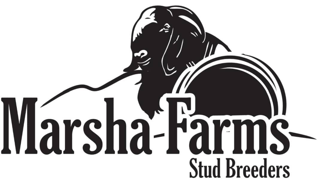 MARSHA FARMS