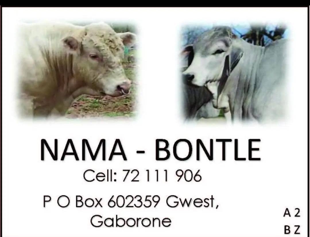 Nama-Bontle