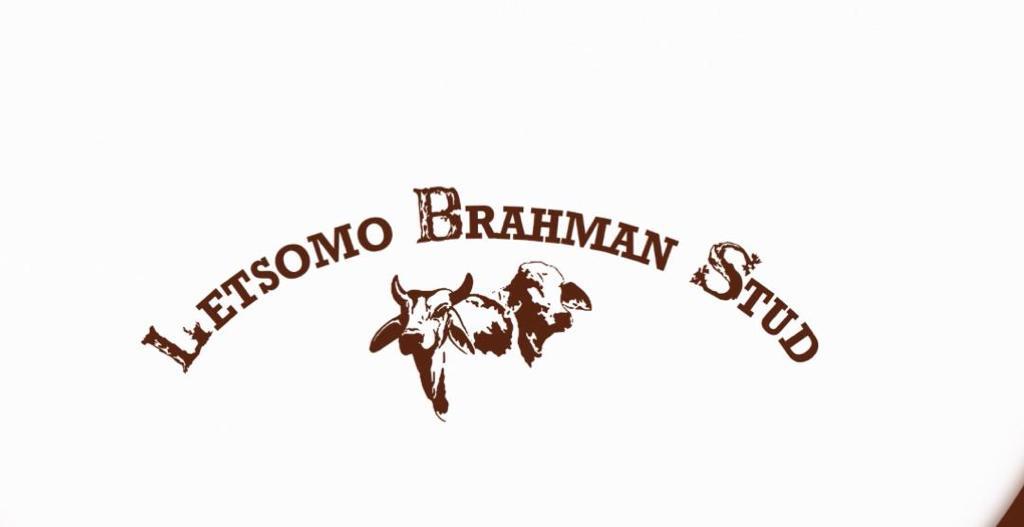 Letsomo Brahman Stud