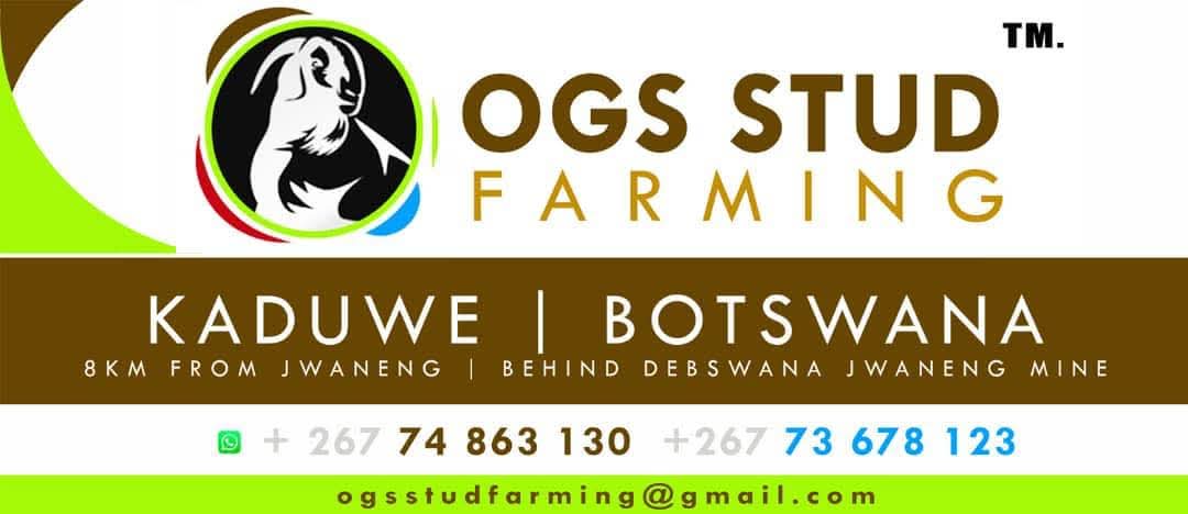 OGS Stud Farming