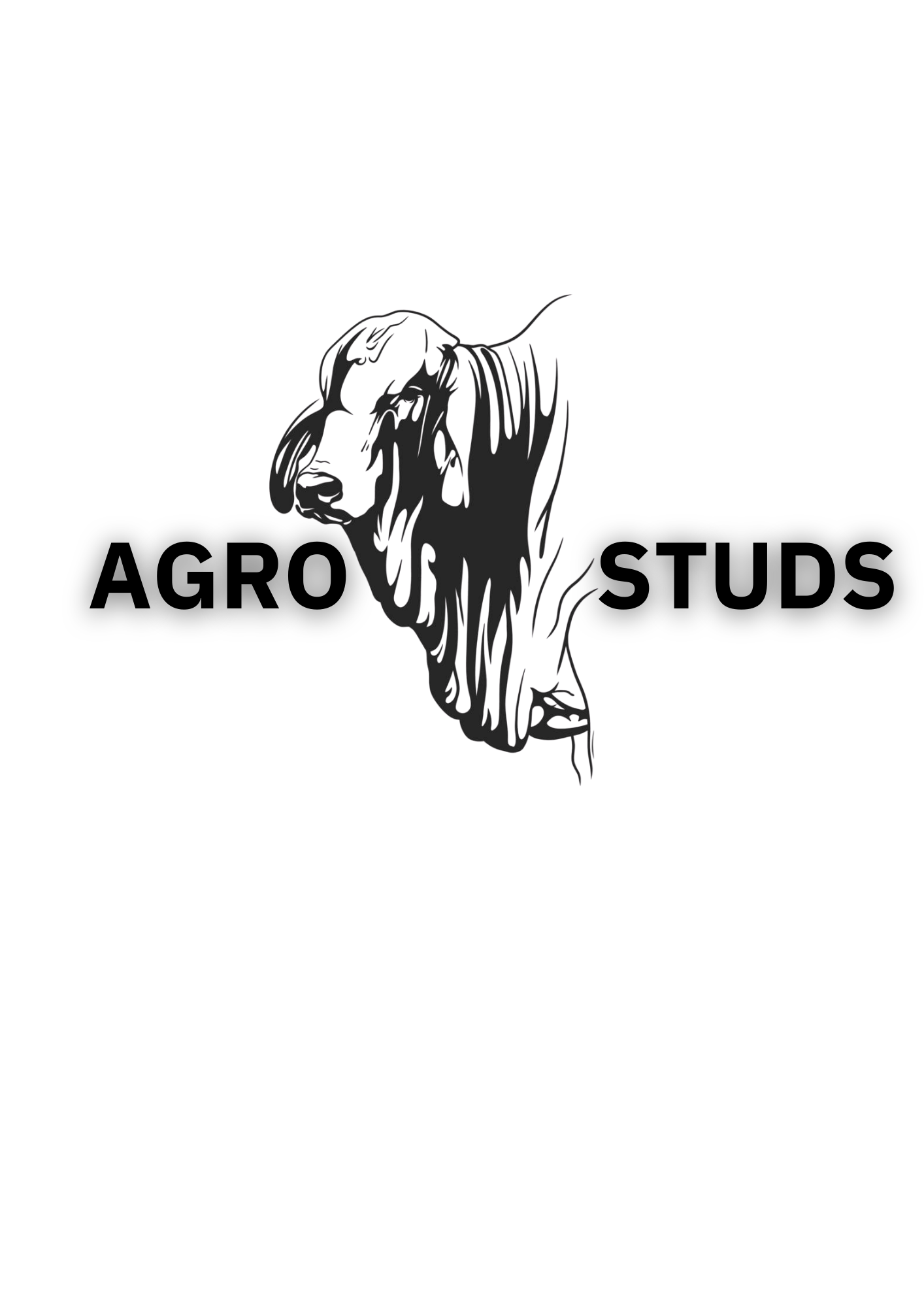 Agro Studs