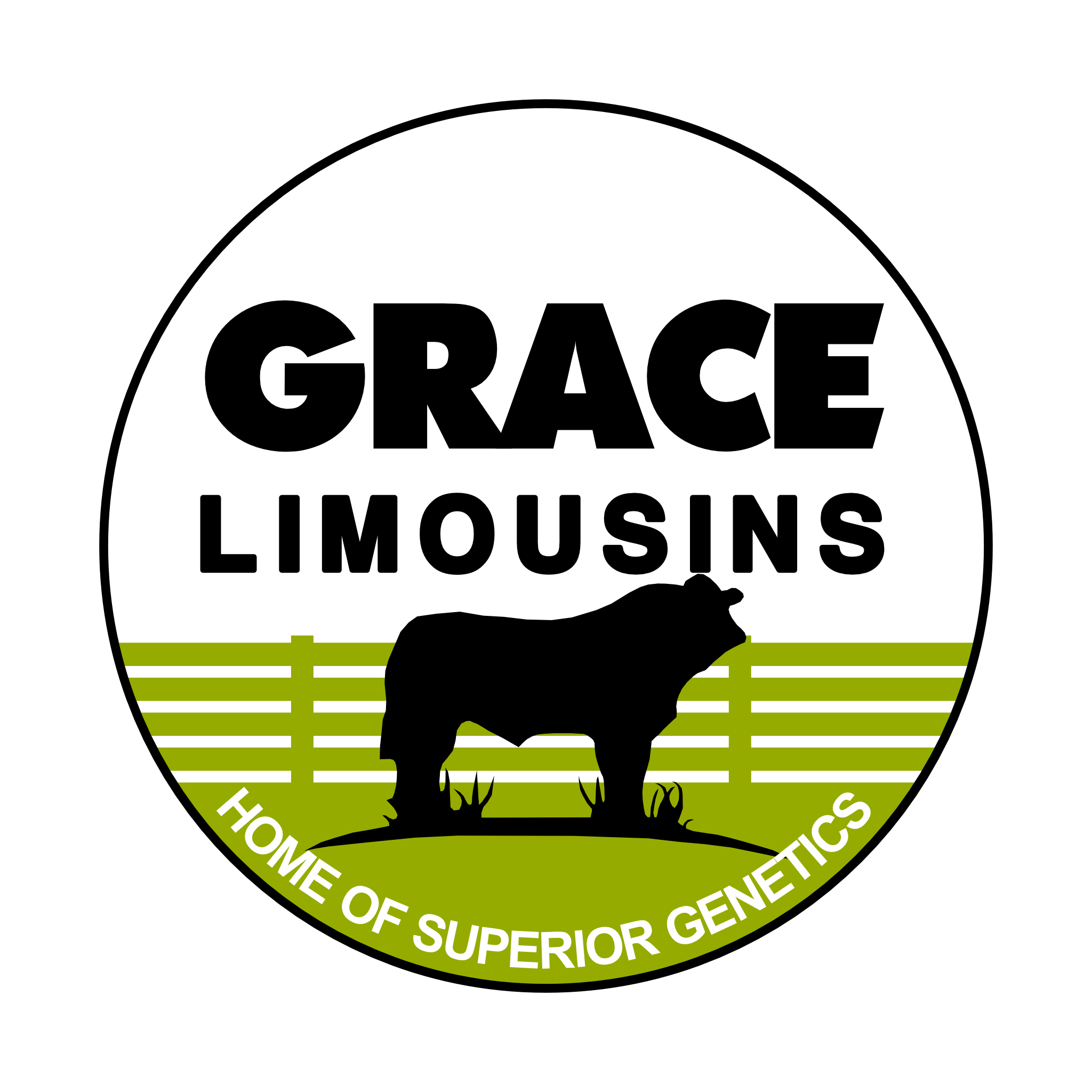 Grace  Limousins (PTY) LTD