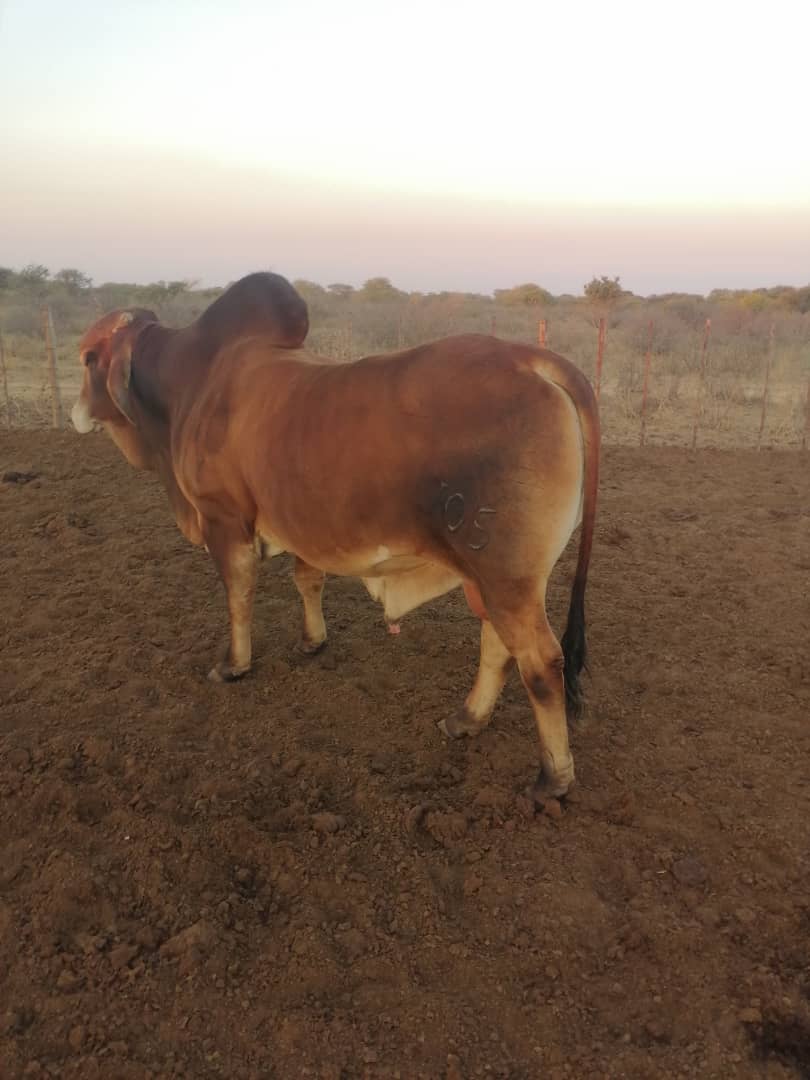 Kanana Ranch