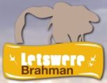 Letswere Brahman Stud