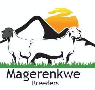 Magerenkwe Breeders