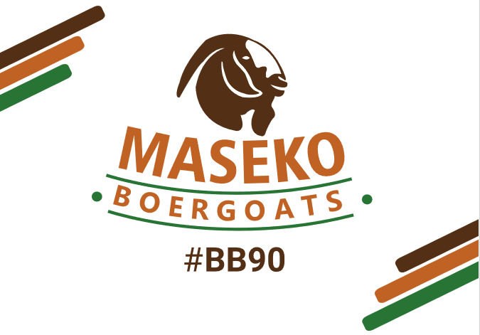 Maseko Boer Goats