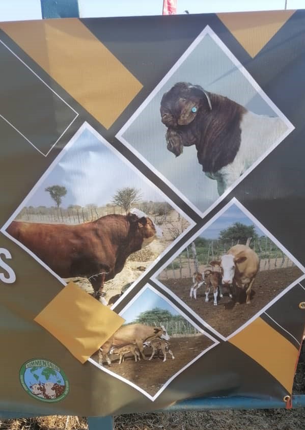 Magane Syndicate Farm 