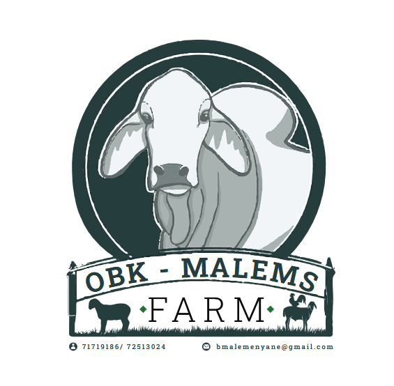 OBK Malems Farm