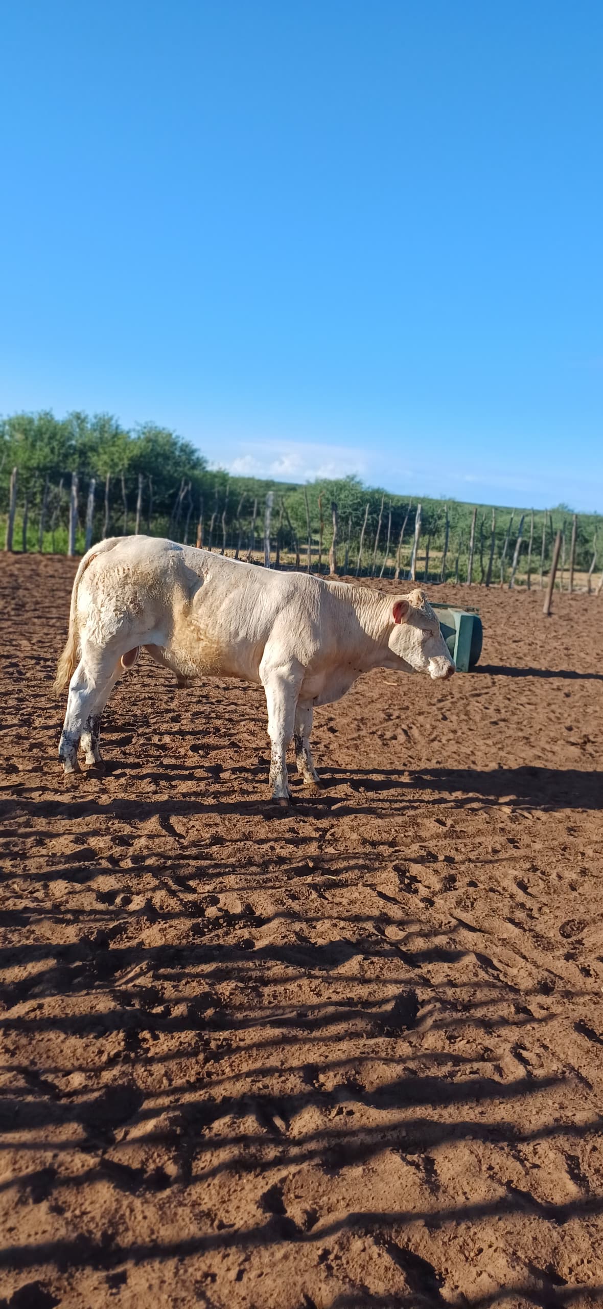 Raletobanas Farm