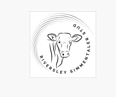 RIVERSLEY SIMMENTALER STUD