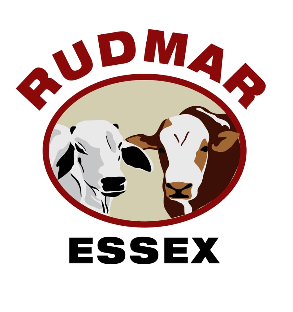 Rudmar Essex