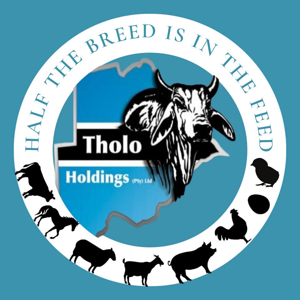 Tholoholdings Pty Ltd
