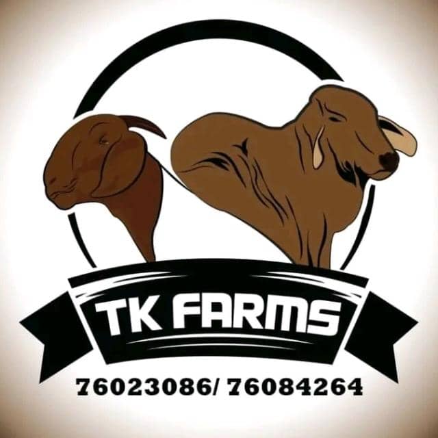 Tk Brahmans Proprietary Limited