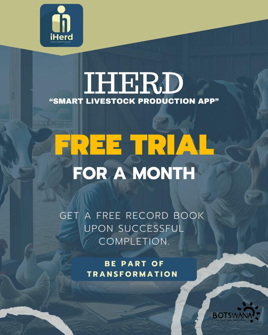 Advert Image