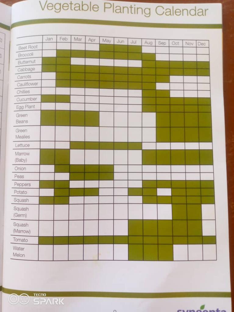 Vegetable Planting Calender