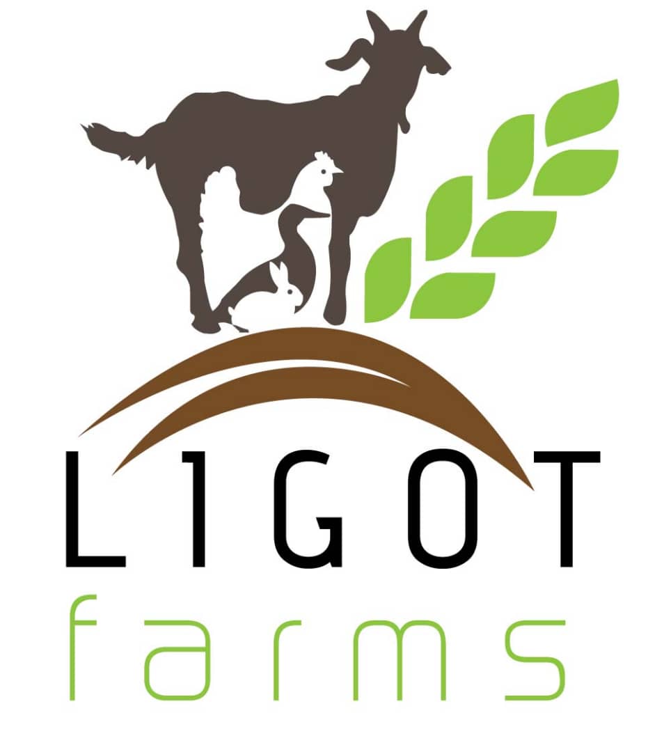 Ligot Farms and Campsite