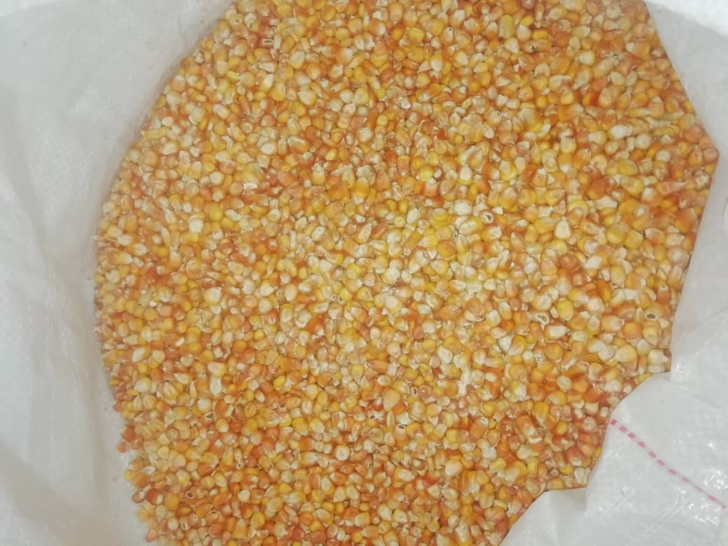 Yellow maize/mmedi