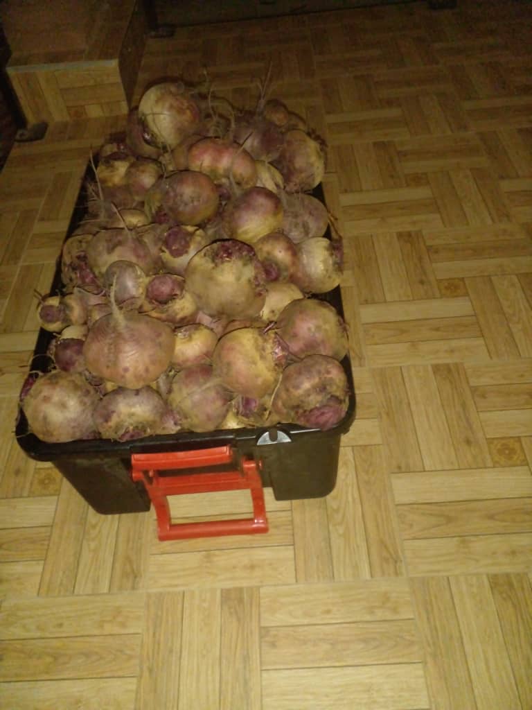 10kg Bag of beetroot at 70 pula