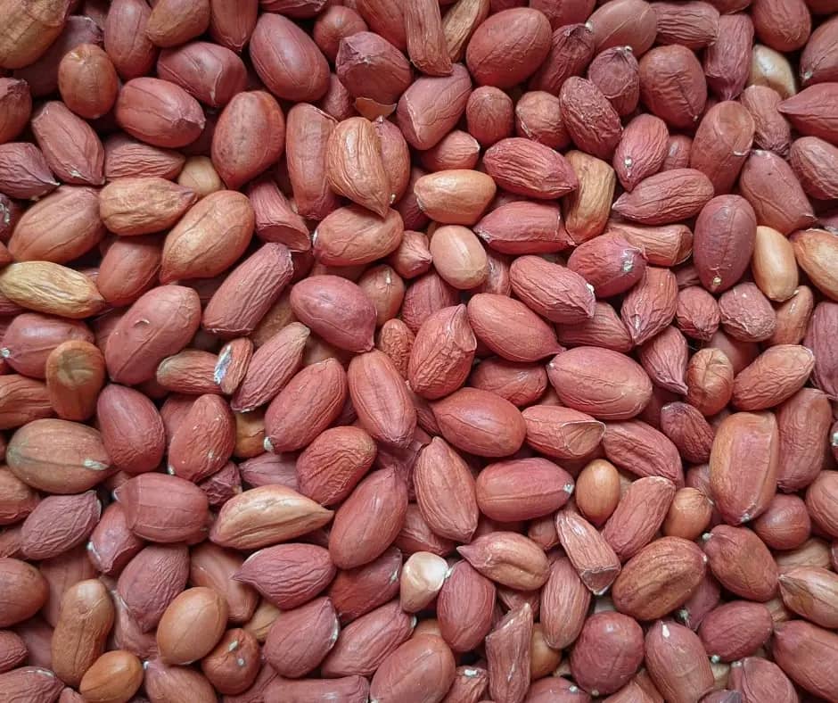 Groundnuts