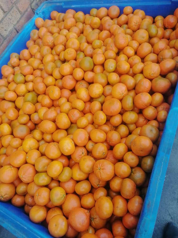 Crate of Natjies, Naraki