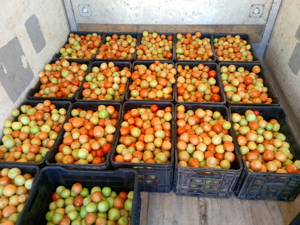 A crate of tomatoes, 400 pula