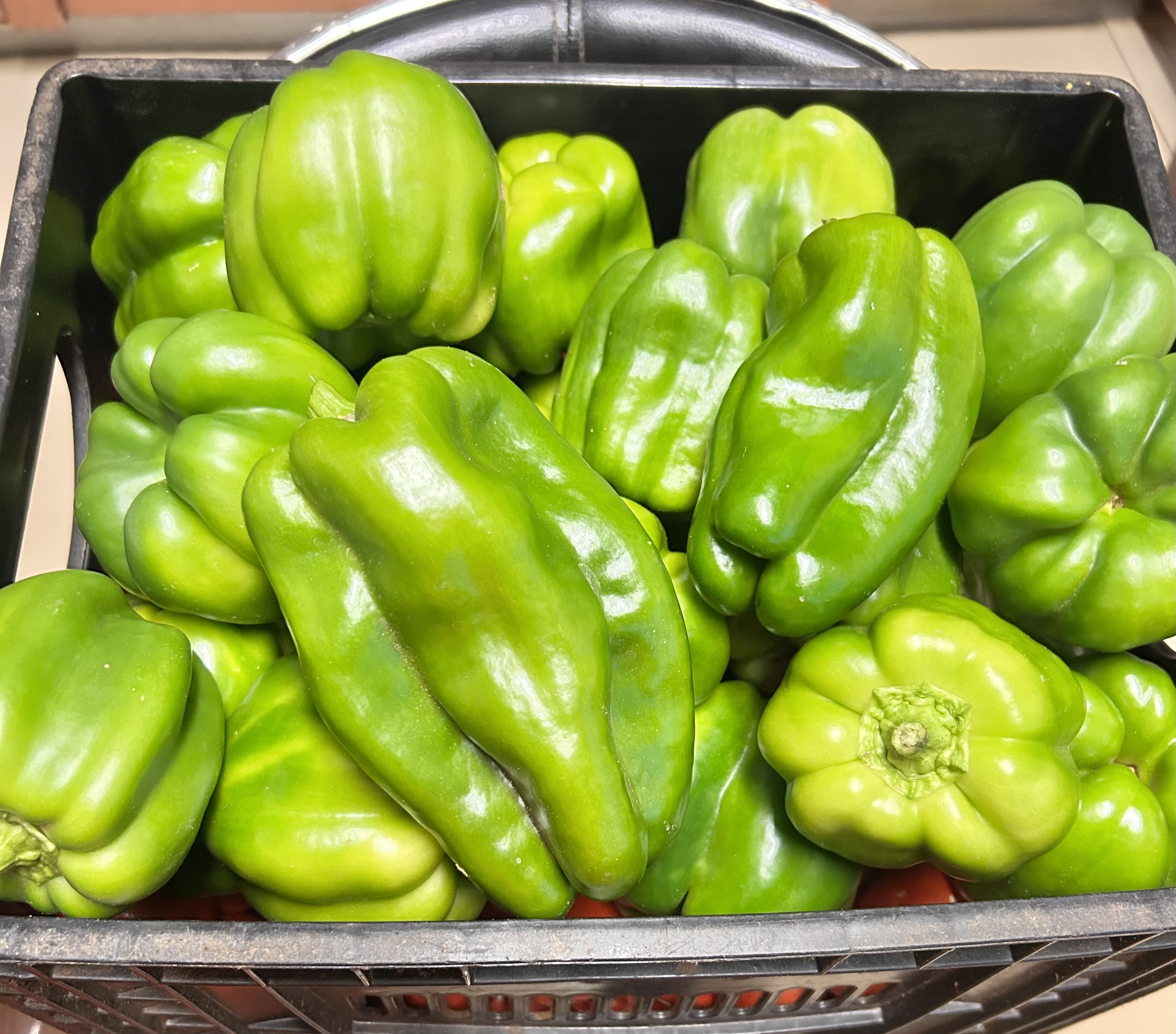Green Pepper in Serowe area. Can be arranged for Gaborone delivery. P20/Kg