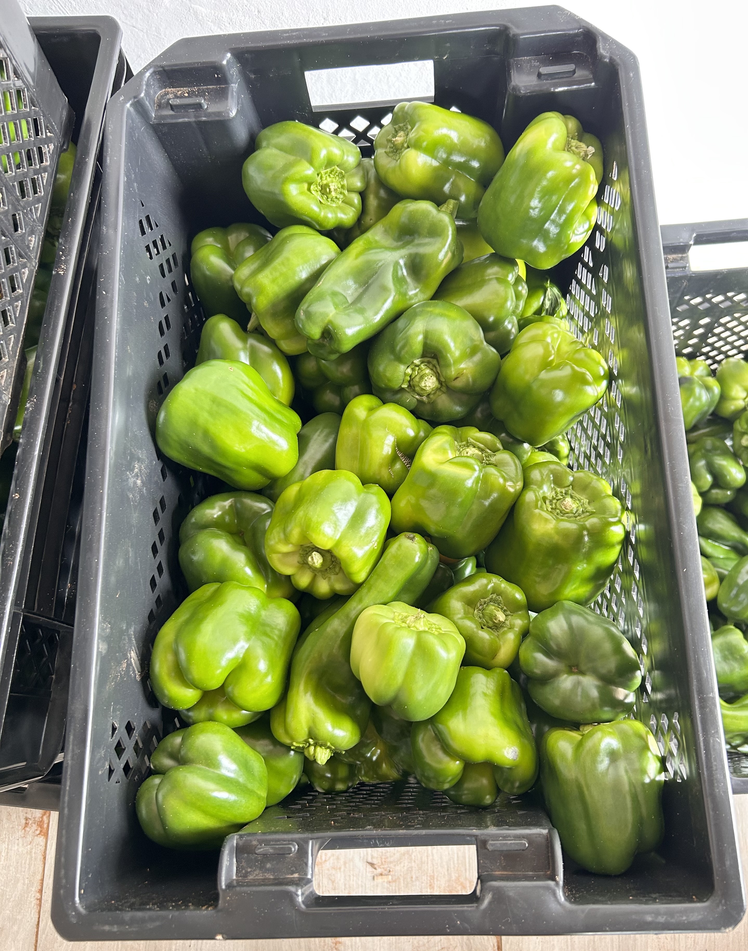 Grade 1 green pepper crate available Gaborone and Serowe areas 