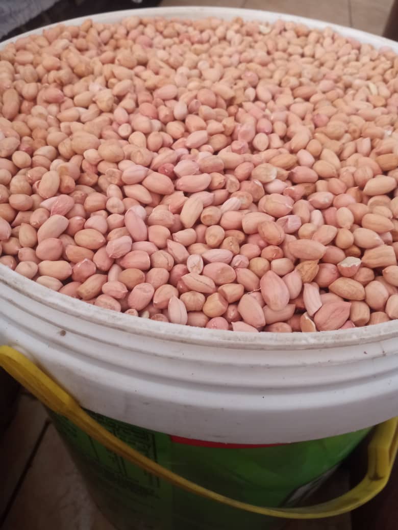 GroundNuts