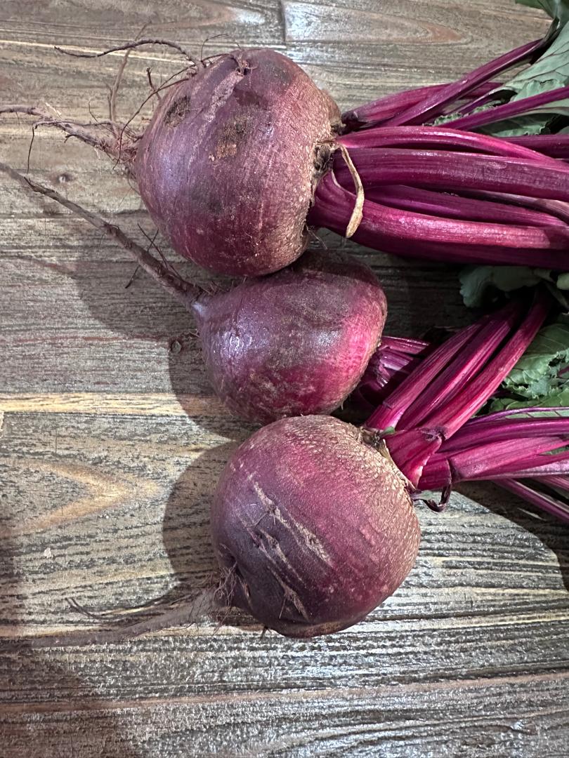 Fres from farm beetroots @P7 per kg
