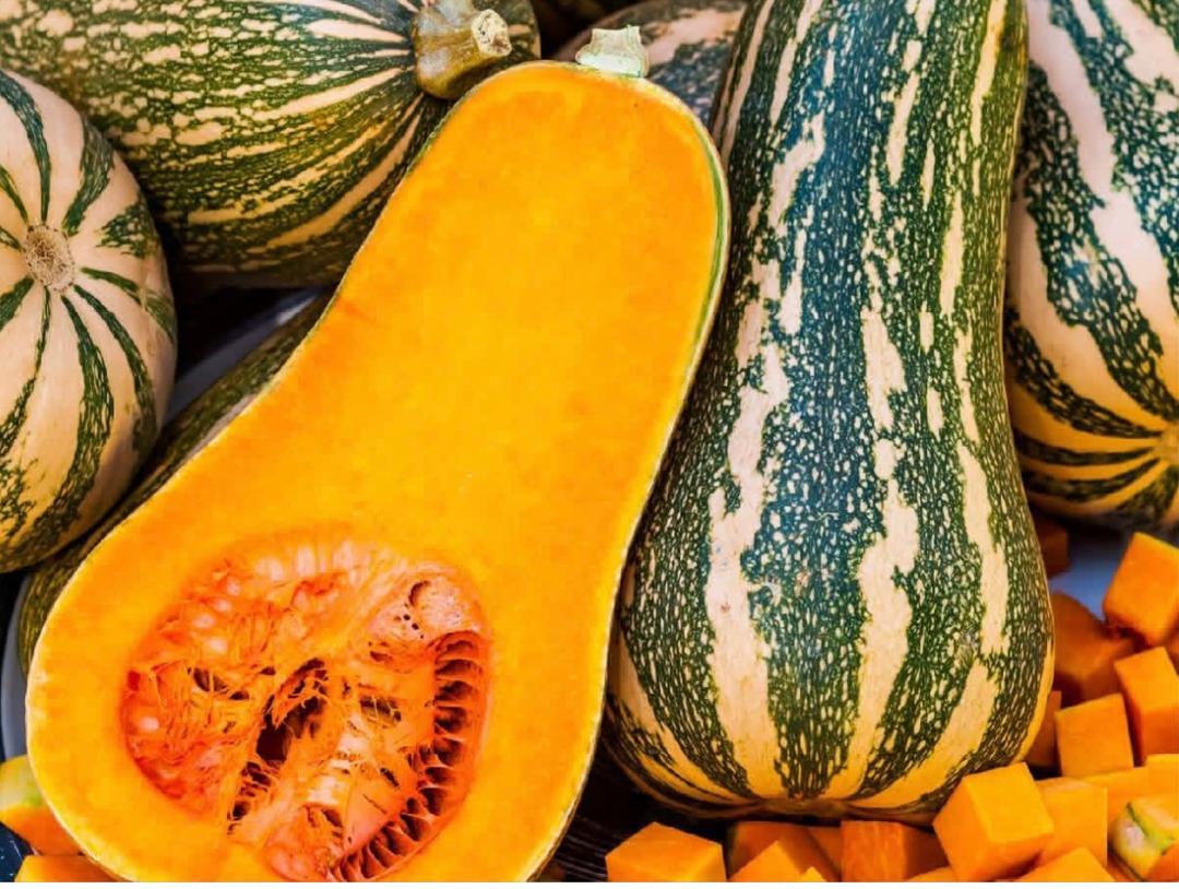 Barbra butternut 85 pula each 75 pula for bulk orders