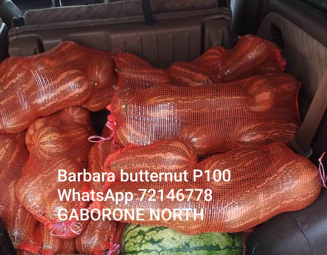 Barbara Butternuts @P100