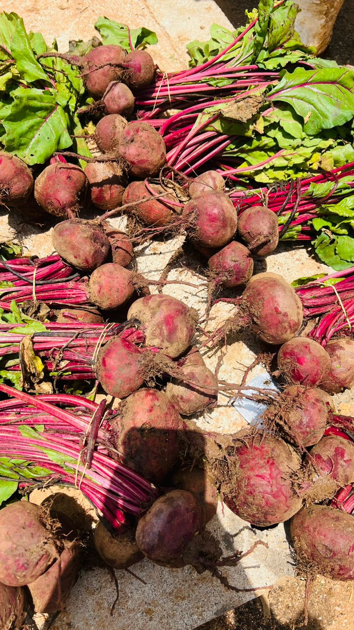 Bundle of Beetroot, 1kg