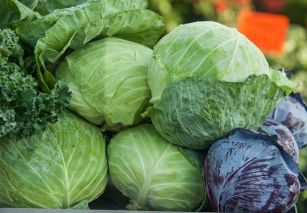 Cabbage available for sales