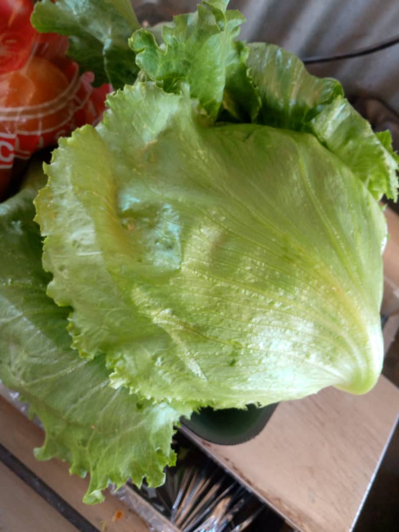 Lettuce P5 per head