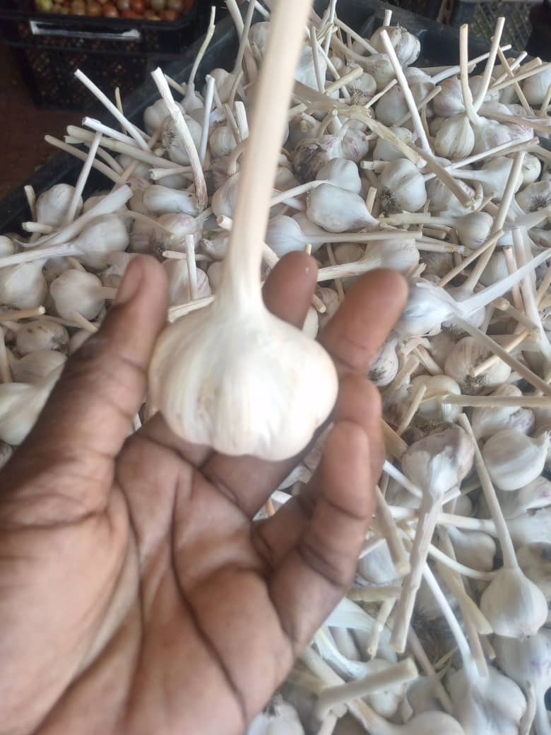 Garlic P90 per Kg