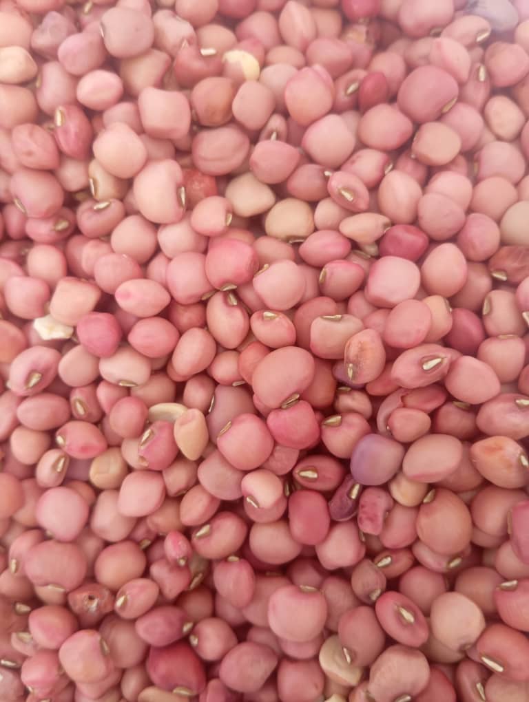 Cowpeas