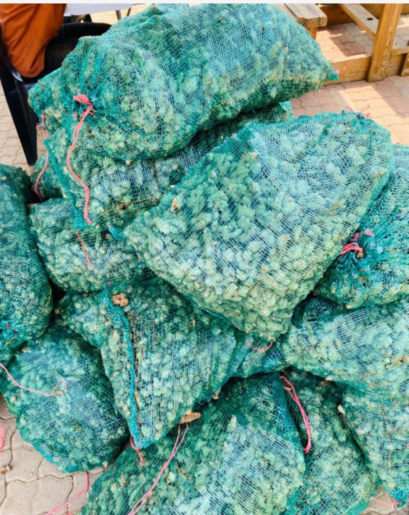 Ginger seeds for sale, 20kg @1.2k