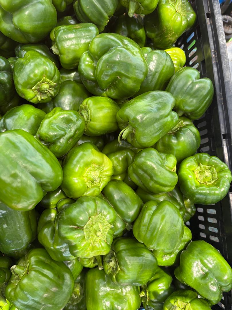 Green Peppers in Gaborone P150 a crate