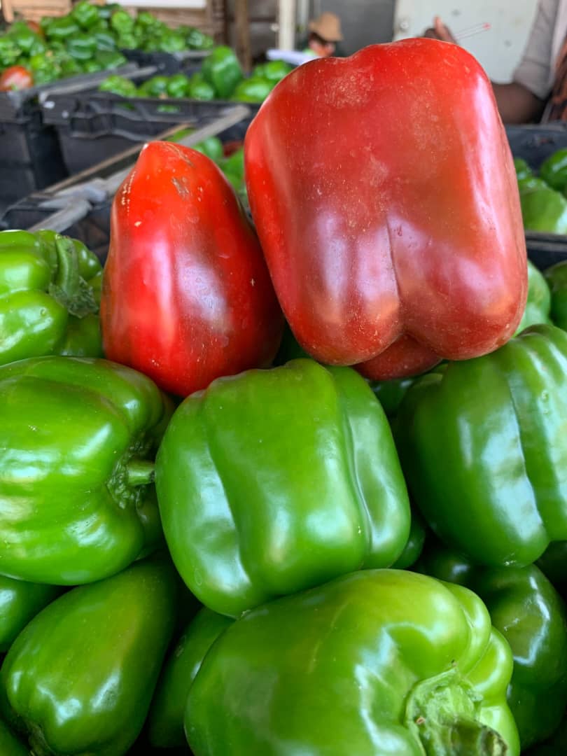 Green Peppers - limited Qty P24 per kg
