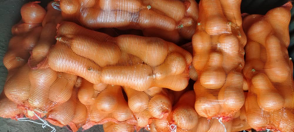 Butternut 10kg ~ P70