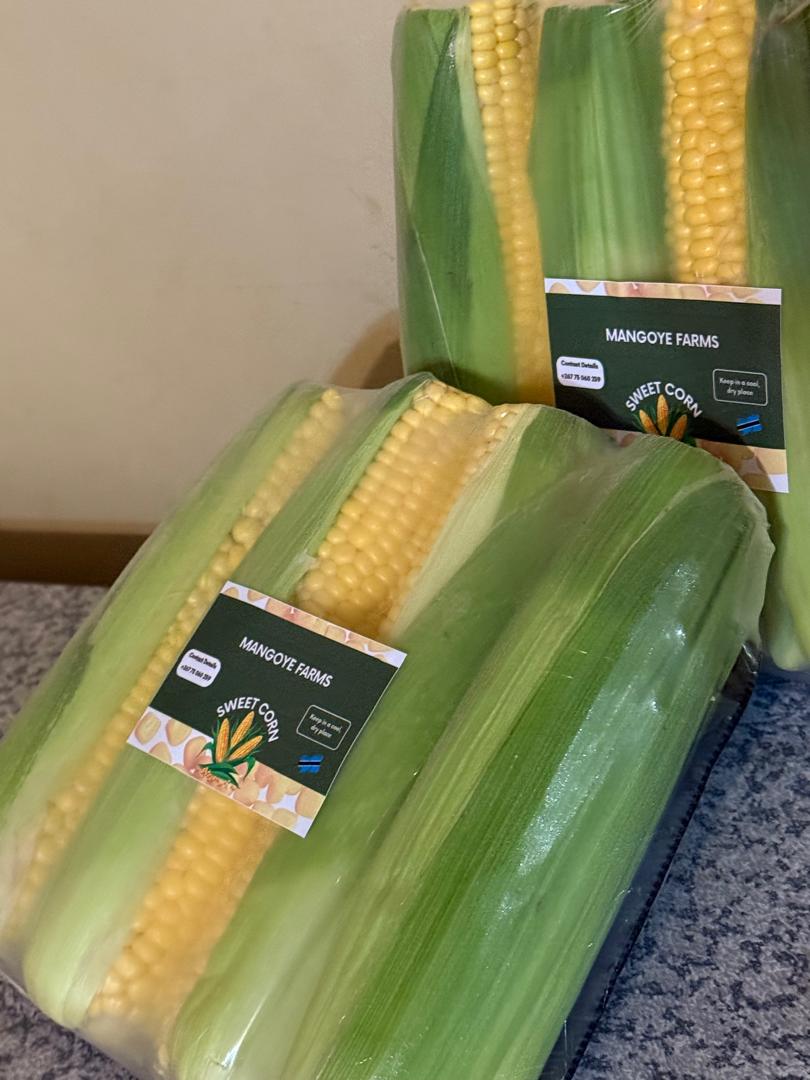 Sweetcorn avalable P20 per pack