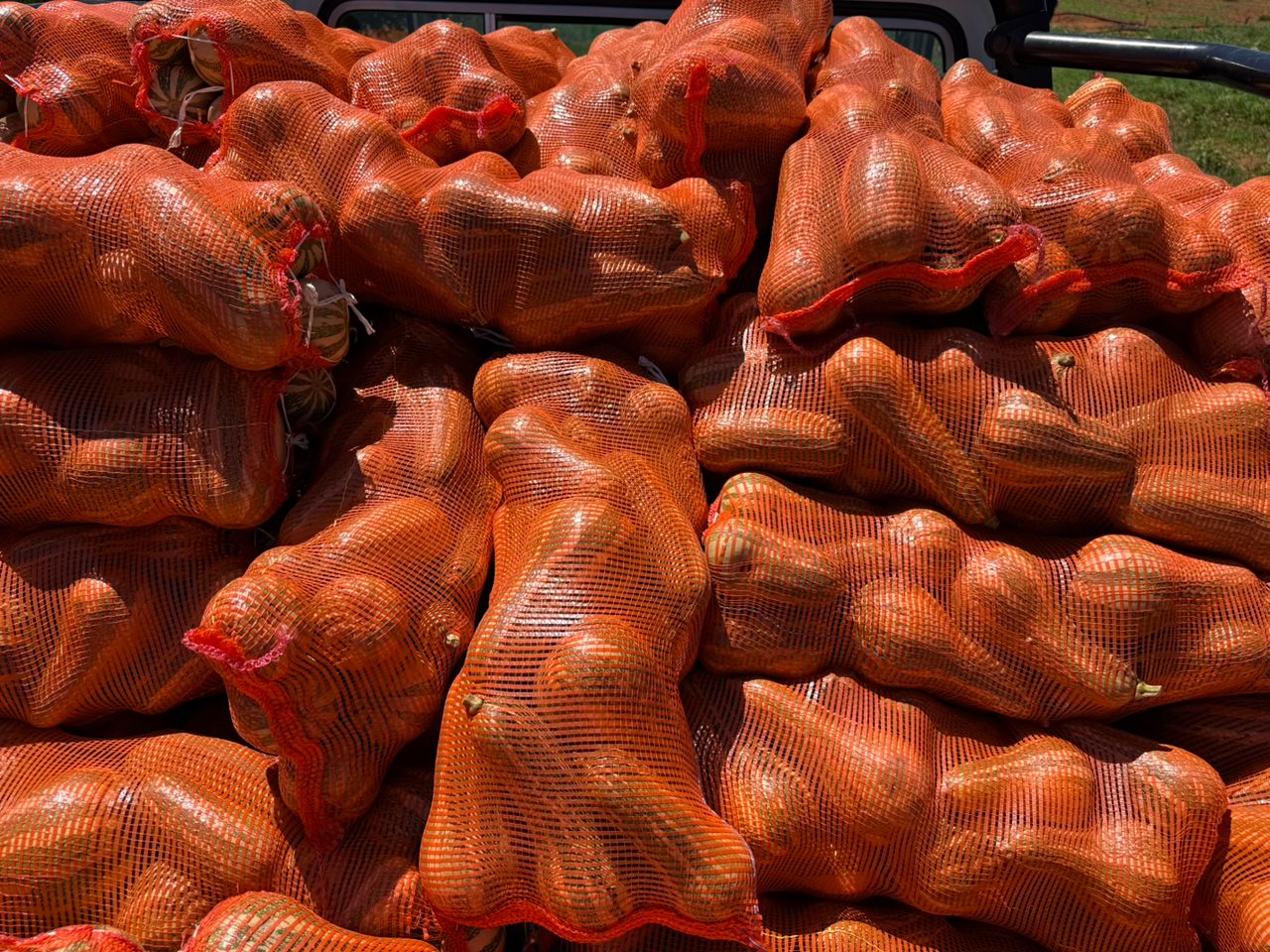 Barbara butternut @ P70 for 10kg Contact 73060239 /71460223