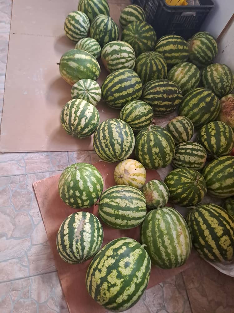 Water Melon at P20 & P30