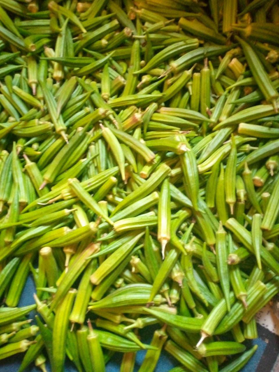 Okra pack @P30 per kg